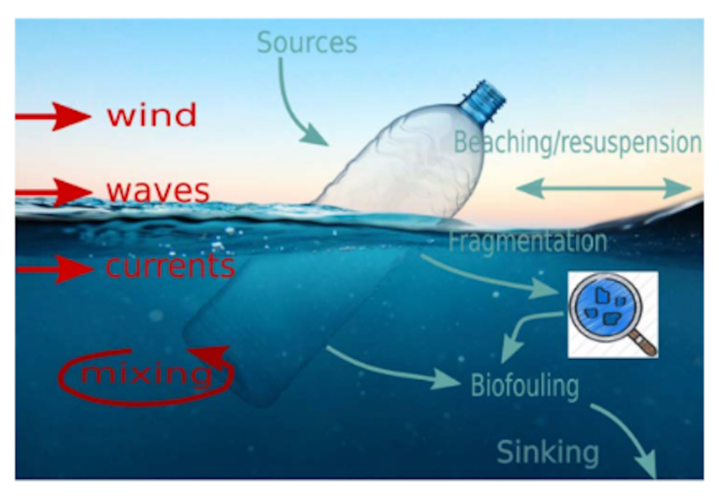Simulazioni di traiettorie tridimensionali di rifiuti plastici nel mare del Golfo di Napoli Golfo Napoli rifiuti plastici